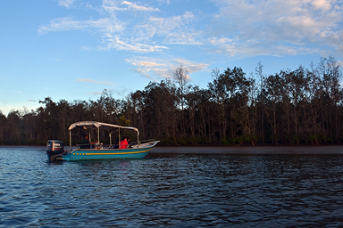 Evening Wildlife & Nature Watching Cruise