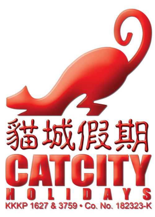 Cat  City Holidays